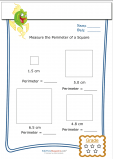 Measure Perimeter Worksheet – Square 4