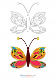 Match Up Coloring Pages – Detailed Butterfly