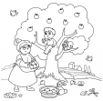 Advanced Coloring Page – Picking Apples