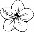 Coloring Page – Flower