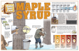 Make Your Own Maple Syrup