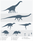 Dinosaurs Size Comparison with a Human