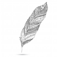 Black and White Feather Doodle 2