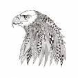 White Eagle Coloring Page
