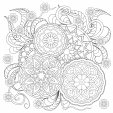 Doodle Flowers And Mandalas