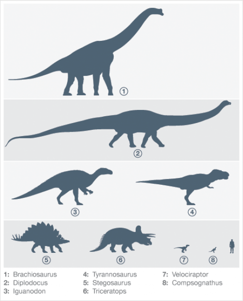 Dinosaur Size Comparison Chart Elephant