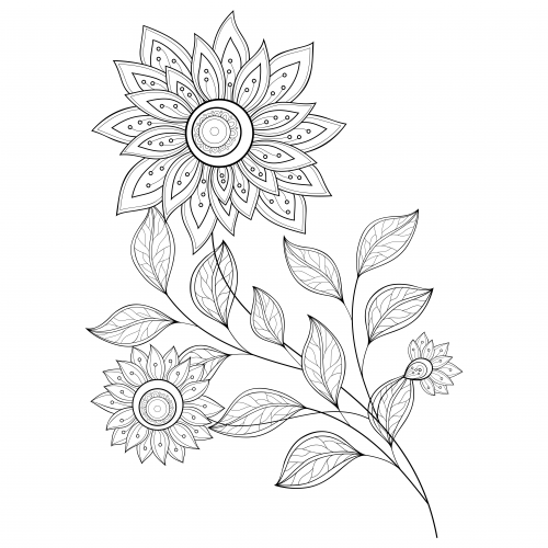 Gallery Advanced Coloring Pages Flowers Www Thejournalist Galerry