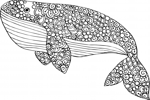 young adult dolphin coloring pages free - photo #24