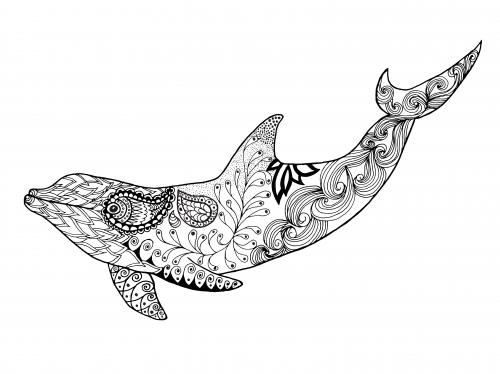 young adult dolphin coloring pages free - photo #18