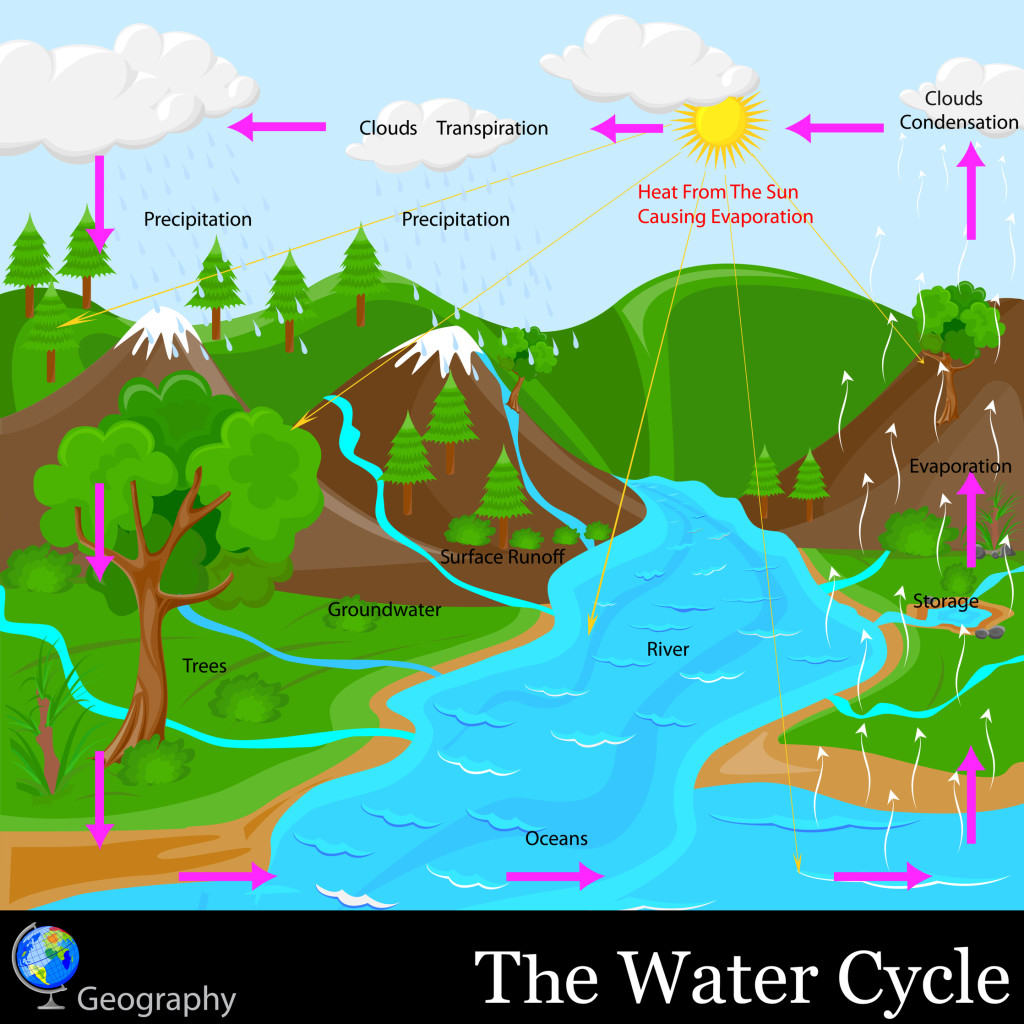 The Water Cycle KidsPressMagazine