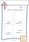 Measure Perimeter Worksheet – Square 3