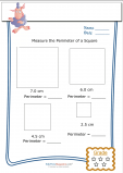 Measure Perimeter Worksheet – Square 2