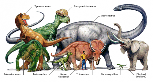 Dinosaur vs. Human vs. Elephant 