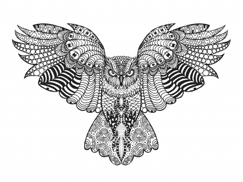 falcon printable coloring pages