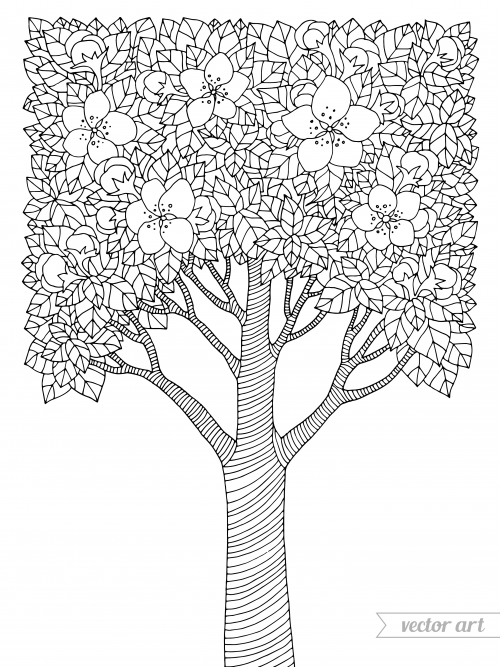 Cherry Blossom Coloring Pages Coloring Home