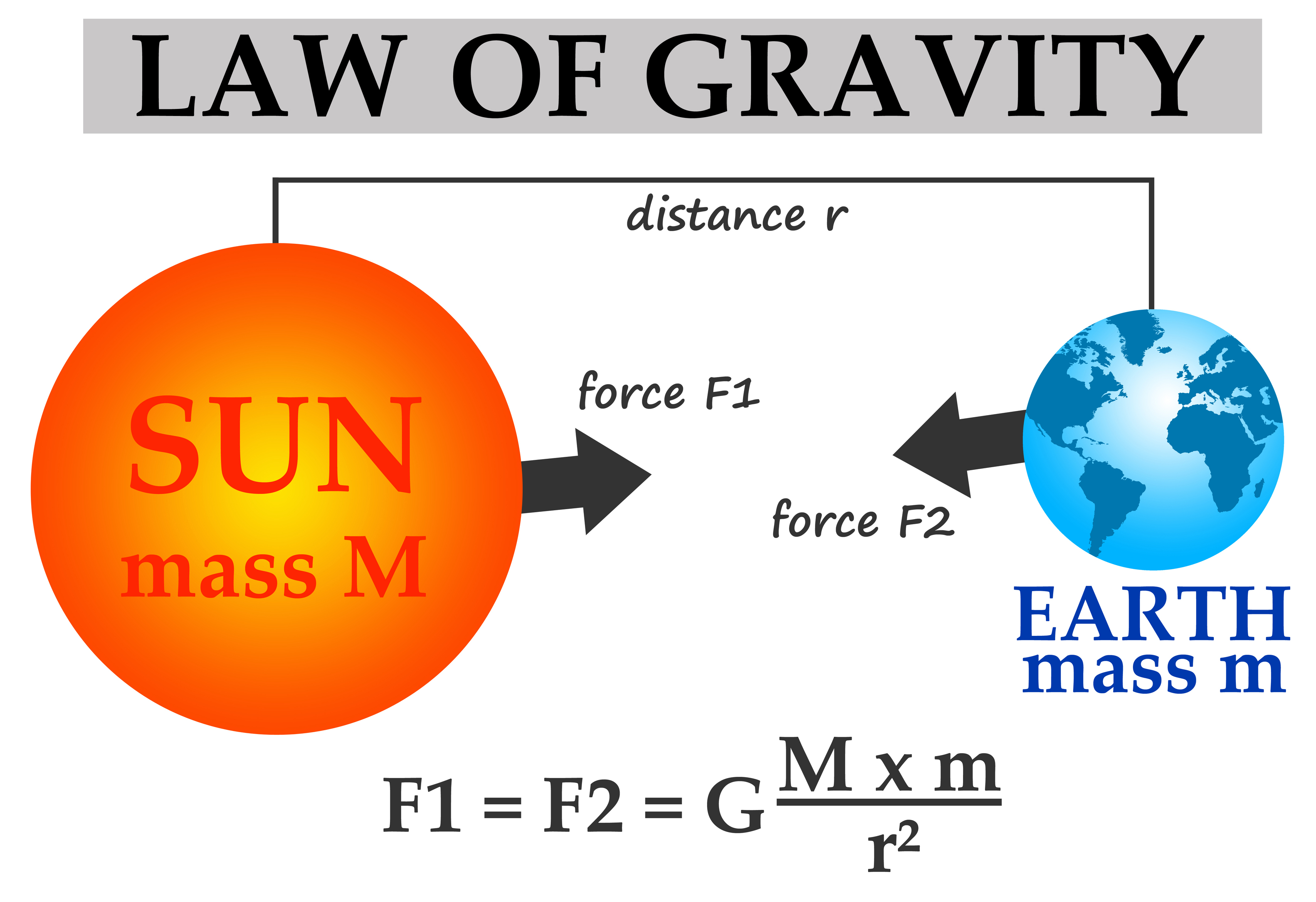 The Law of Gravity - KidsPressMagazine.com