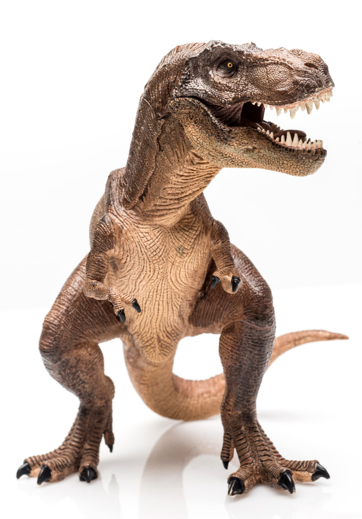 Along with Stegosaurus and Iguanodon, Tyrannosaurus rex was one of three dinosaurs that inspired the appearance of Godzilla.