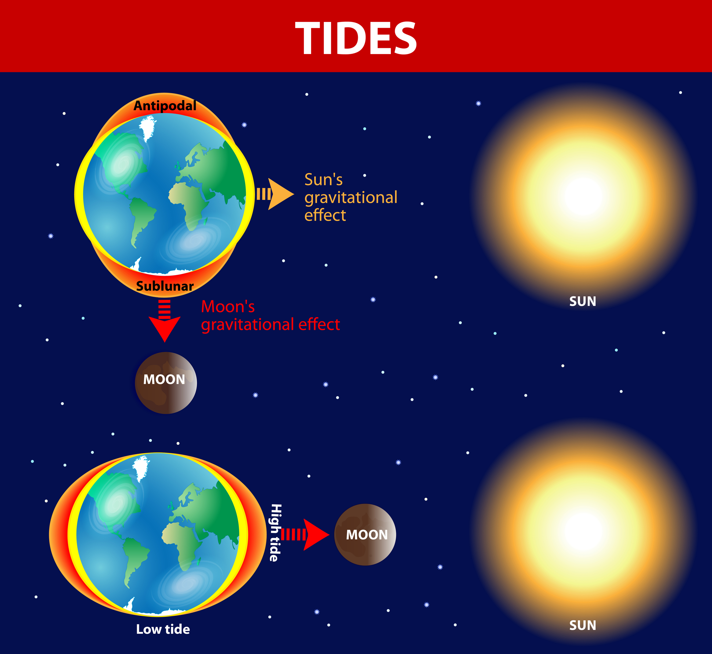 How Tides Are Formed KidsPressMagazine