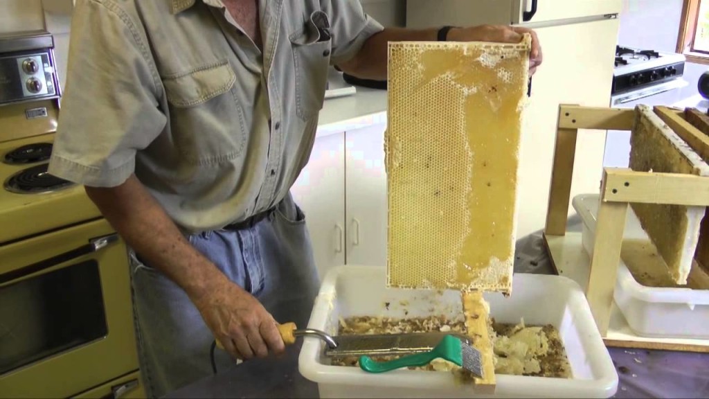 How To Extract Honey?