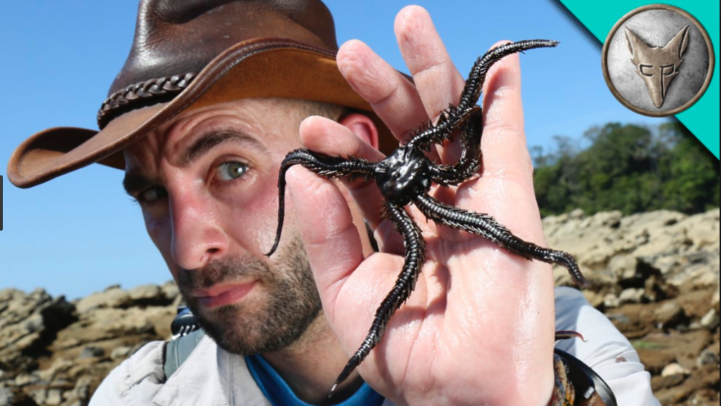 coyote peterson facts