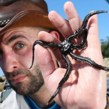 coyote peterson facts